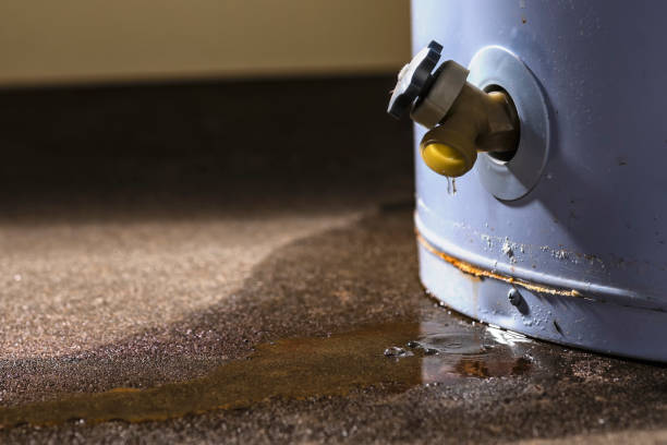 Professional Water damage restoration in Southgate, FL