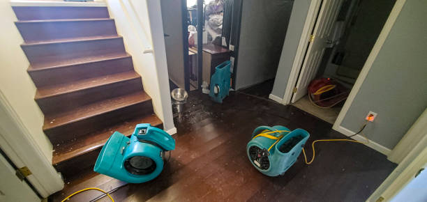 Water damage restoration experts in Southgate, FL
