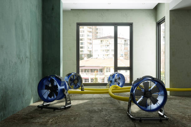 Sewage cleanup and water damage restoration in Southgate, FL